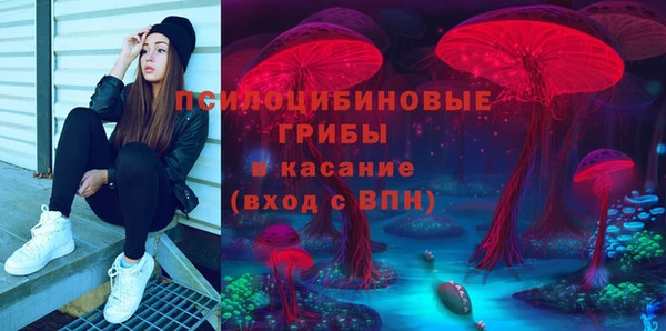 прущая мука Армянск